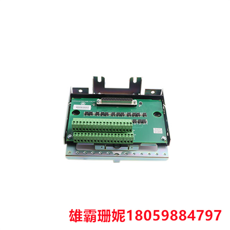 GE IS230SNRTH2A 电阻温度探测器 RTD元件可以是一根导线