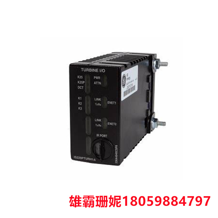 GE IS220PAICH2A 模拟量I/O模块 此 I/O 包直接连接到端子板