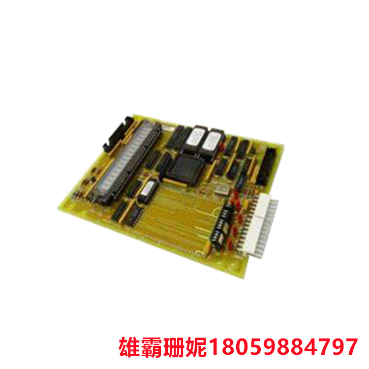 GE DS200SLCCG2A 局域网(LAN)通信板 主机可以使用所需的 LAN 接口处理空间