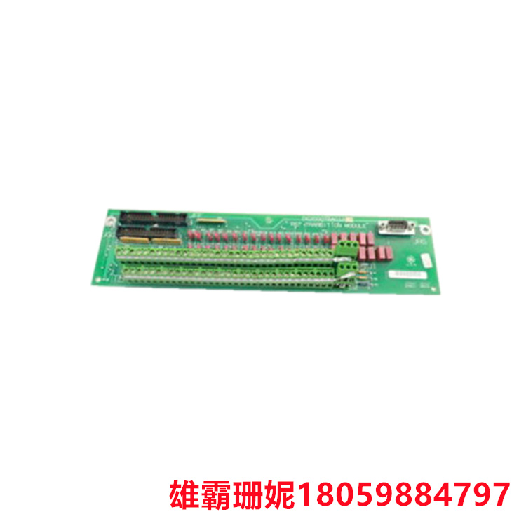 GE  DS200QTBAG1ACB  终端模块   TCQC 板使用的信号由 QTBA 端子板落入相应的内核中 