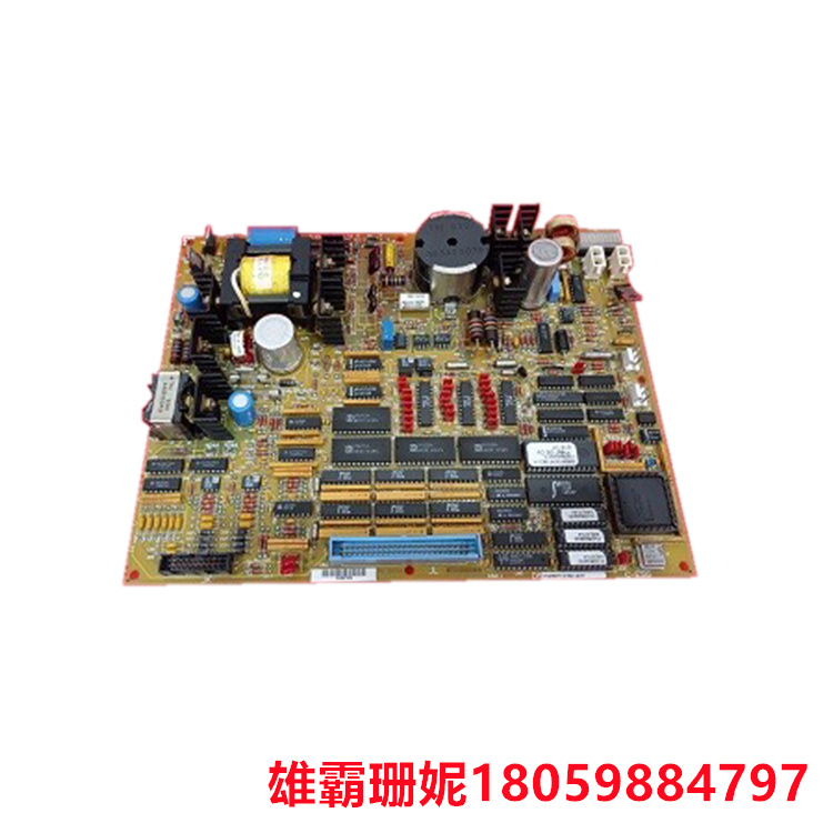 GE  DS200TCEAG1BTF  紧急超速板   必须确保更换相同类型和额定值的保险丝 