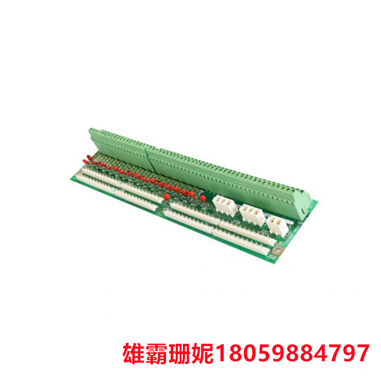 GE DS200DTBDG1ABB 端子板 每个模块包含 107 个信号线端子