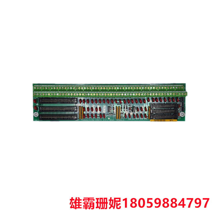 GE DS200TBQDG1AEE RST 扩展端接板 每个模块包含 107 个信号线端子