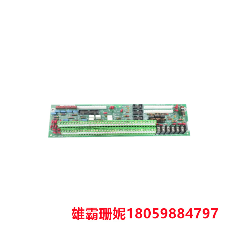 GE DS200PTBAG1BBA 终端板 其中两个孔用导电材料环绕