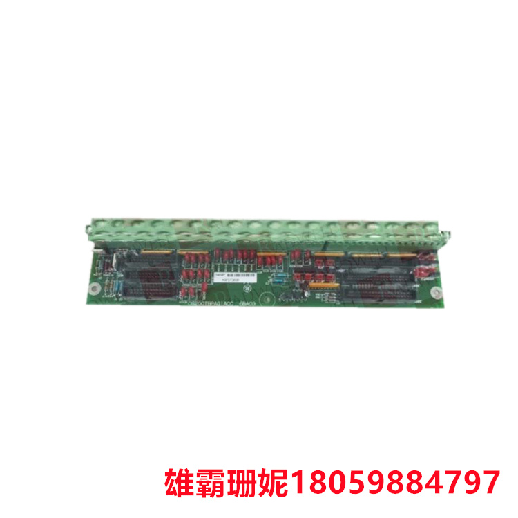 DS200TBPAG1A PLU 端接板 该系统旨在管理燃气轮机和蒸汽轮机