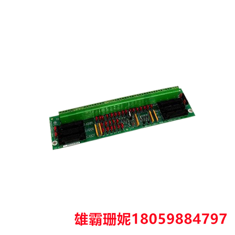 DS200TBQEG1B LM6000 RST 模拟终端板 每个模块包含 95 个信号线端子