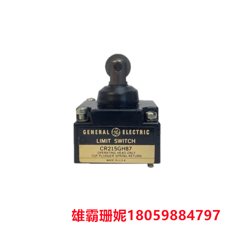 GE CR215GH87 限位开关杆头 顶部柱塞