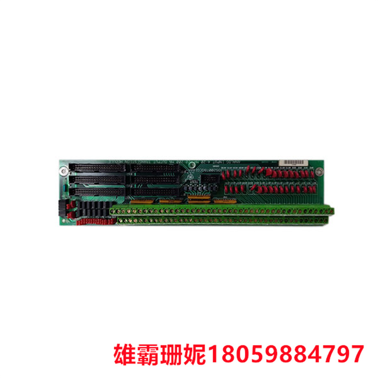 GE DS200TBQCG1AAA RST模拟端接板 具有两个接线端子