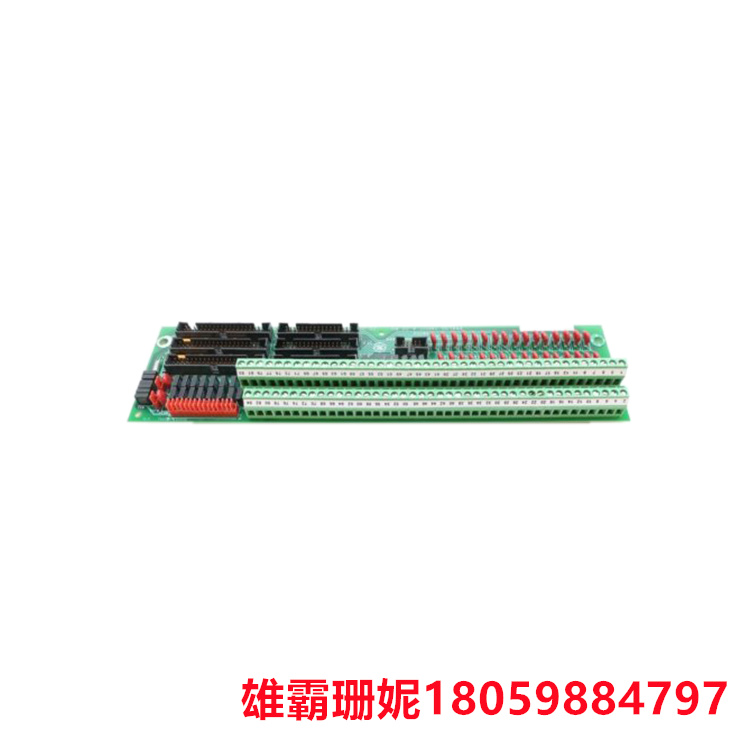 GE DS200TBQCG1ABB 模拟端接板 每个模块包含 83 个信号线端子