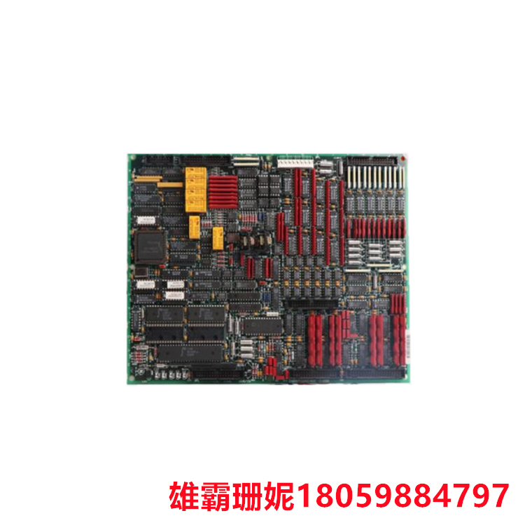 GE DS200TCQAG2B RST模拟I/O板 6个200引脚连接器和2个跳线