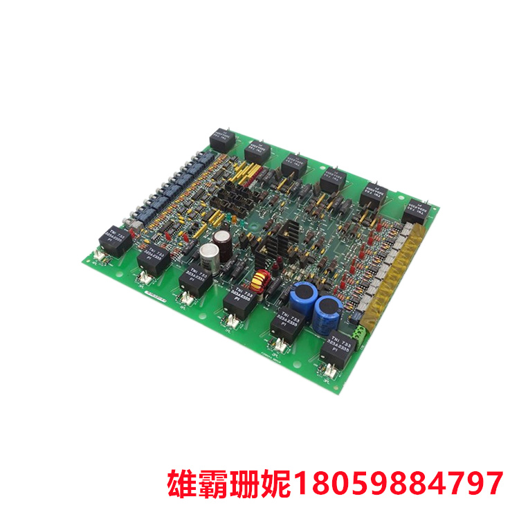 GE DS200FCRRG1AKD 点火控制电路板 端子用于95根信号线