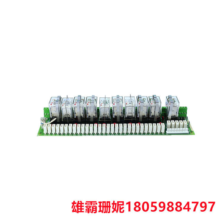 GE DS200RTBAG3AEB 功率励磁板 具有十个继电器