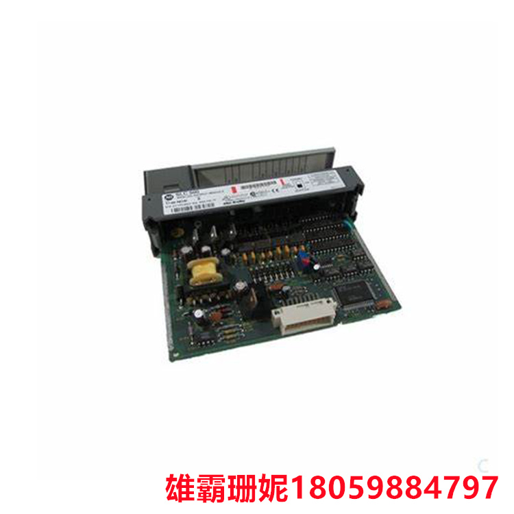 GE IC3600TUAA1D1B 模块 该模块占用单个插槽并具有两个连接器