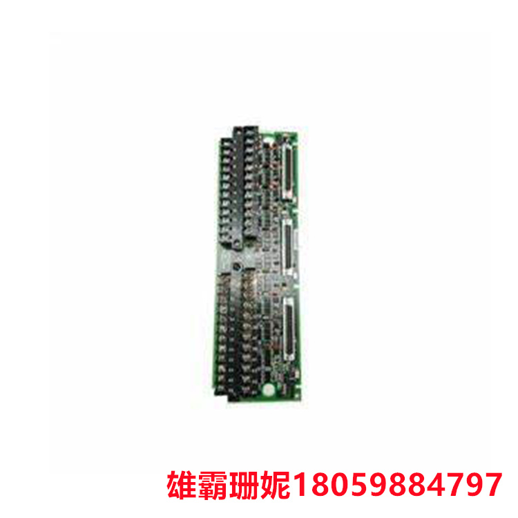 GE  IS200TBAIH1C   模拟终端板    这些终端总共有四十八个终端 