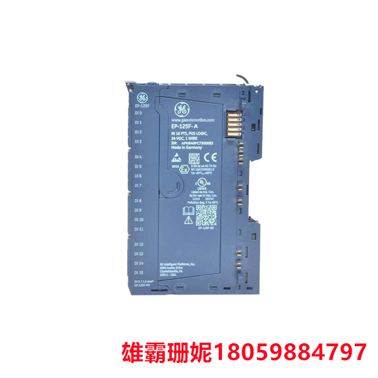 GE EP-125F 16通道输入模块 模块上的输入支持1线传感器连接
