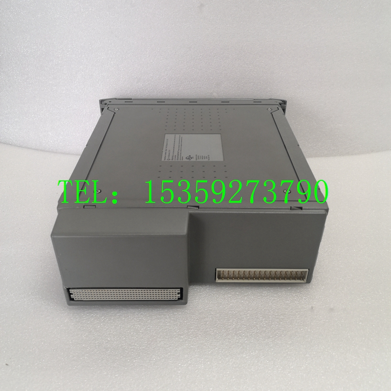 ICS TRIPLEX T8110B库存热卖 /正品保障