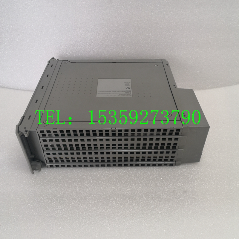 ICS TRIPLEX T8110B库存热卖 /正品保障