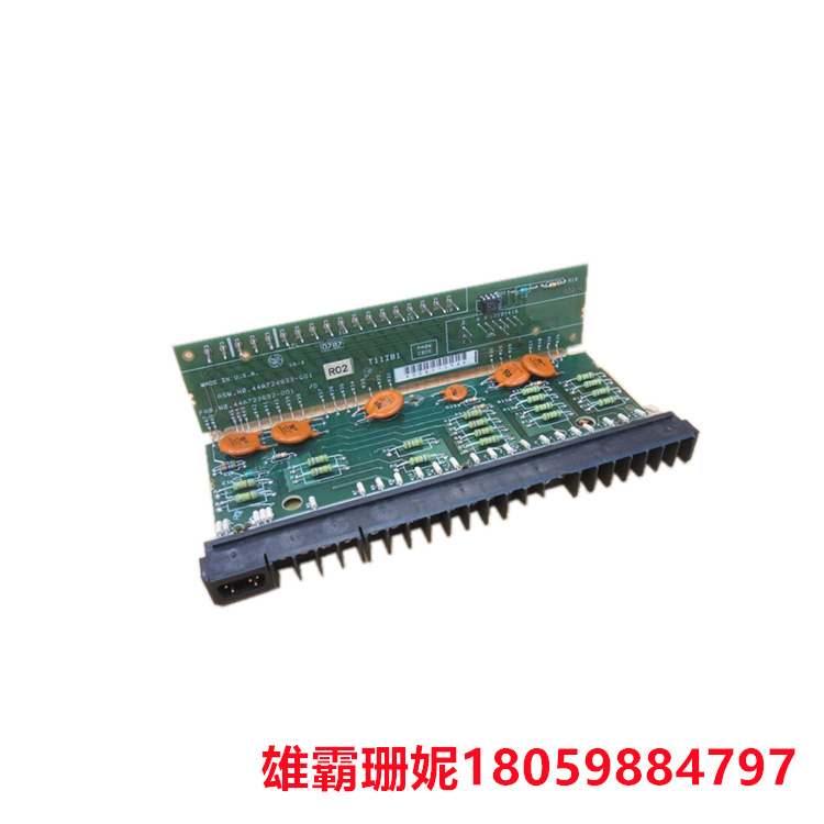 GE 44A751101-G01 背板中断器