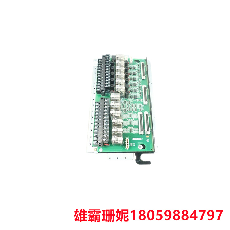 GE IS200TRLYH1BGF 终端继电器卡 包含许多电子元件