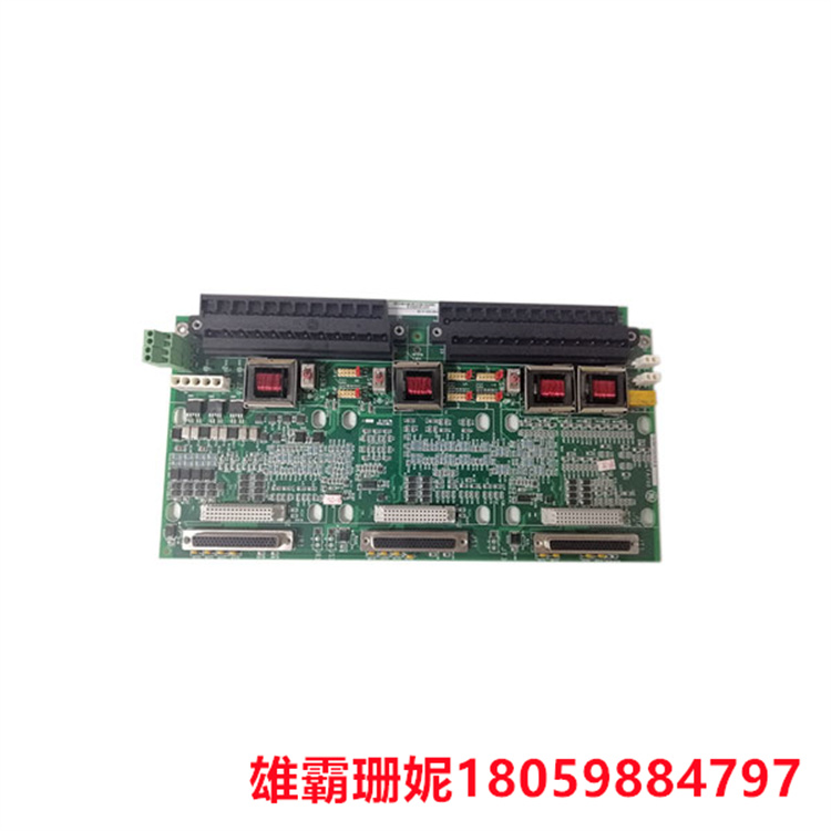 GE   IS200TSVCH1A   伺服I/O端子板      该板沿板底部有两个端子条 