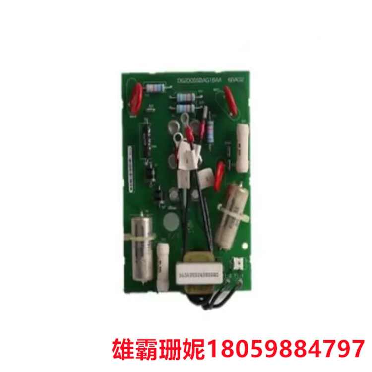 GE   DS20OSHVTIG1B  移动存储卡   它无缝集成到驱动器控制架构中 