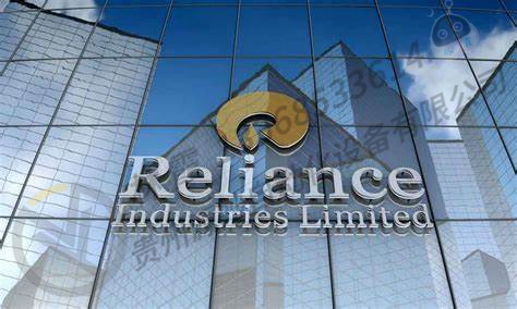 瑞恩RELIANCE 054121RV电控配 工业模块PLC插件 控制板 