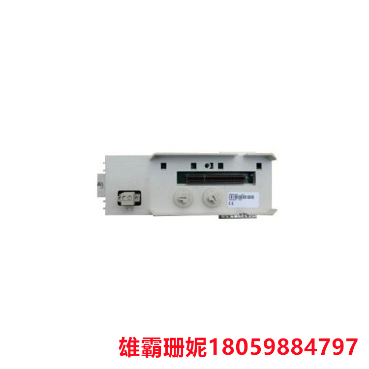 ABB TP857 底板单元 适用于 BC810 推力位置模块