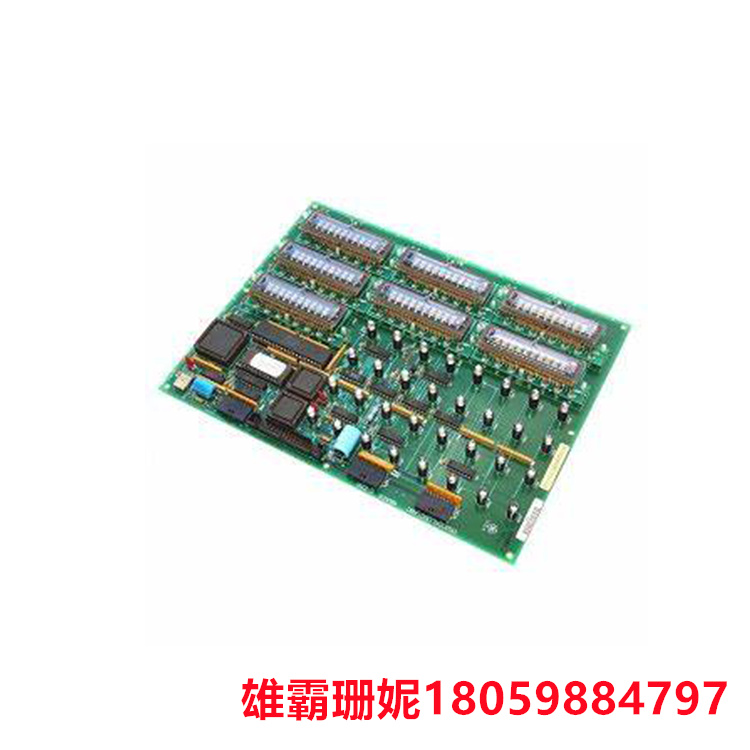 GE DS200KLDBG1ABC 显示板 包括两个垂直引脚组件