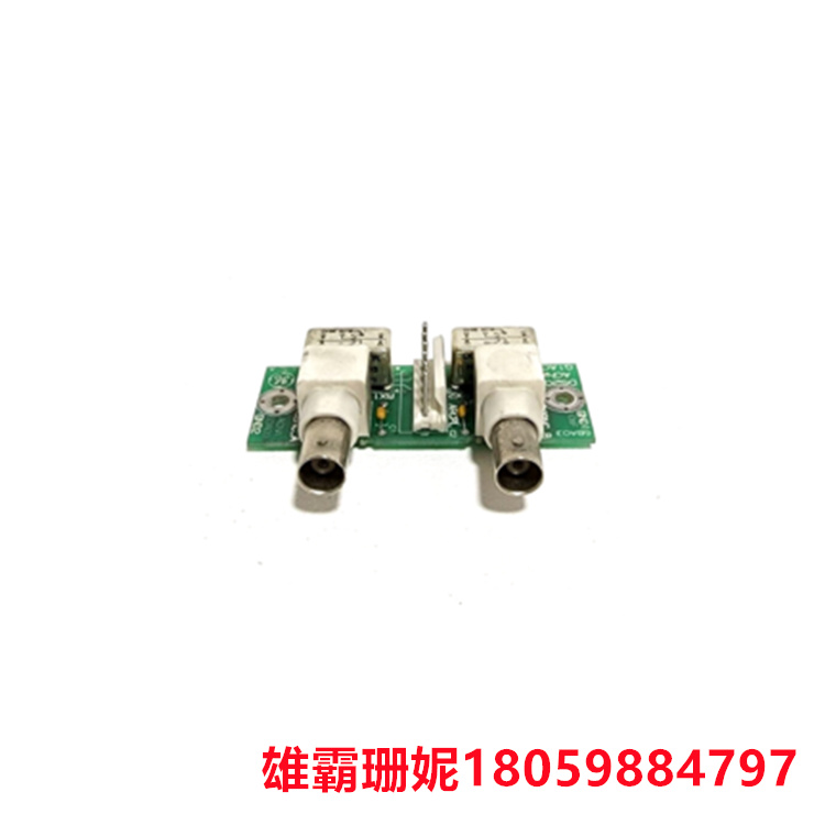 GE	DS200ACNAG1A  网联卡    该板由两个开口制成，开口周围有切割在卡的两侧的金属 