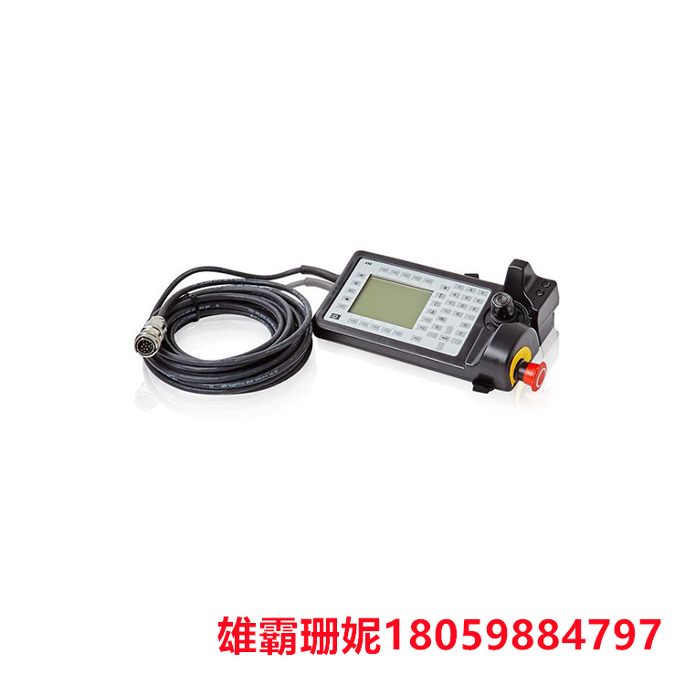 ABB 3HNE00313-1 程序单元,带背光 含10米线及插头