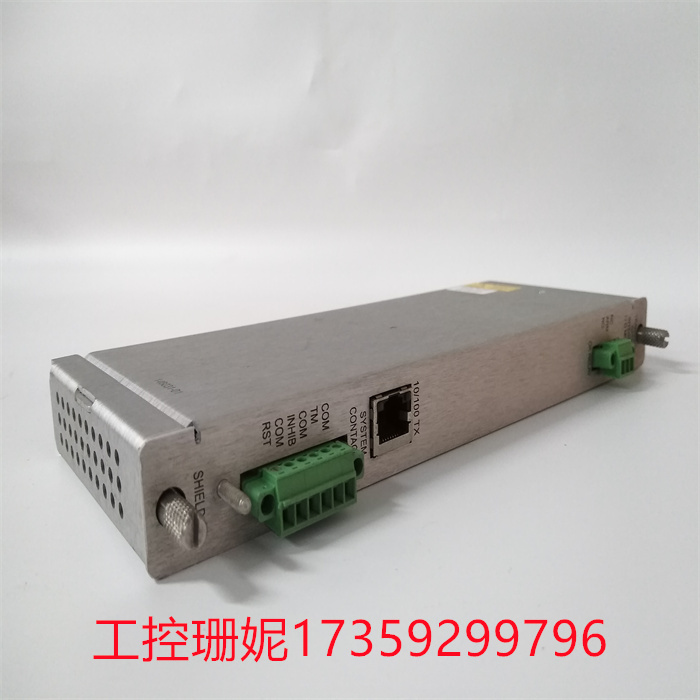 Bently Nevada 146031-01  暂态数据接口模块 