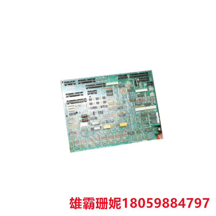 GE DS200TCQCG1ADB   模拟卡   该板还具有 2 个 3 针连接器 