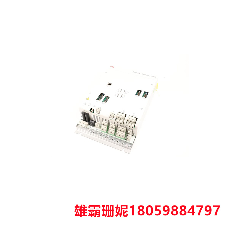ABB PFXA401SF 卡件模块 也就是说一个卡件上有很多模块