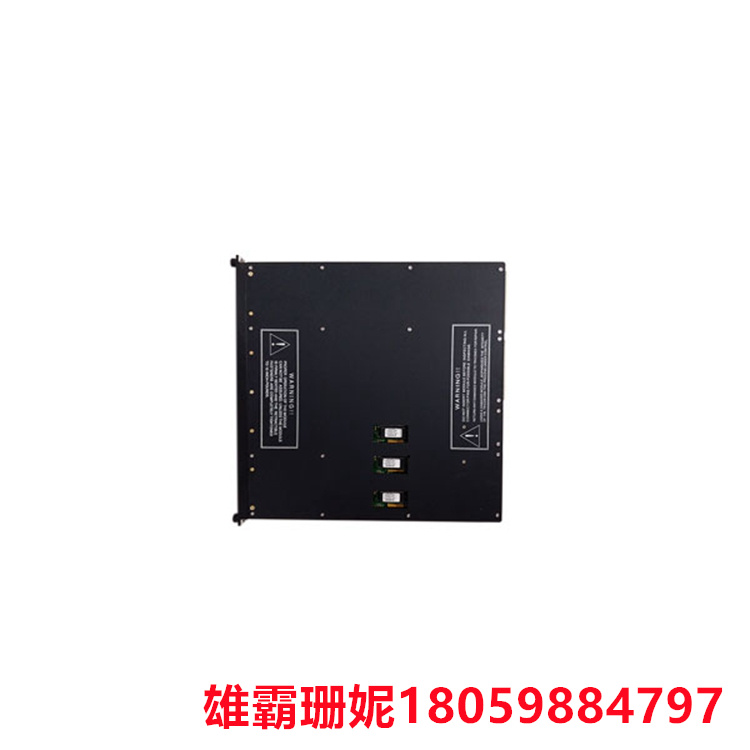 TEICONEX  3601T/3601   数字输出模块    通过同时执行多个Triconex TSAA DI对象 