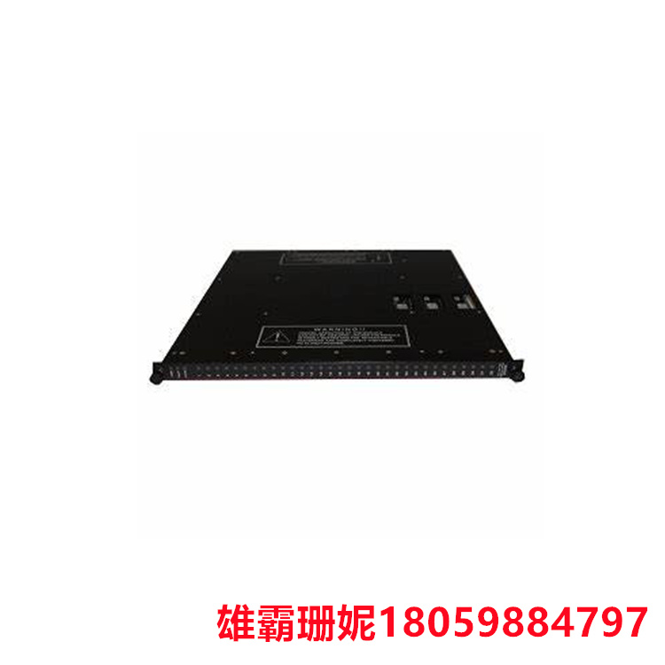 TRIC0NEX 3501E    数字输入模块    一个模块既可以输入信号也可以输出信号 