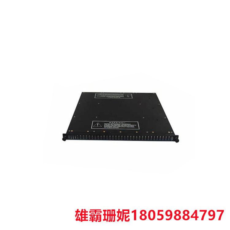 TRIC0NEX 3805H  增强型模拟输出PLC模块    连续分支故障时的切换时间%3C 10 ms 