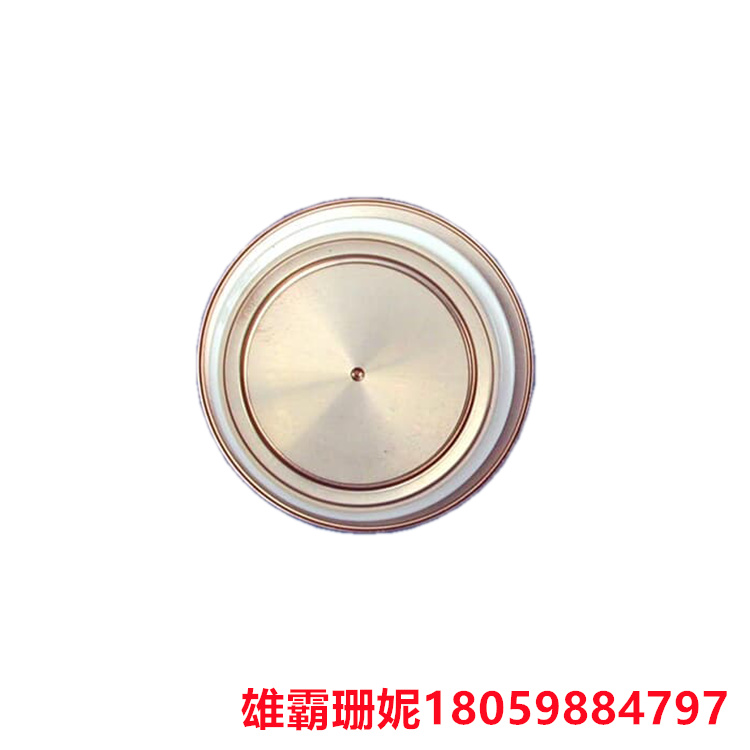 ABB  D1031SH45TS02   二极管     二极管是用半导体材料(硅、硒、锗等)制成的一种电子器件 