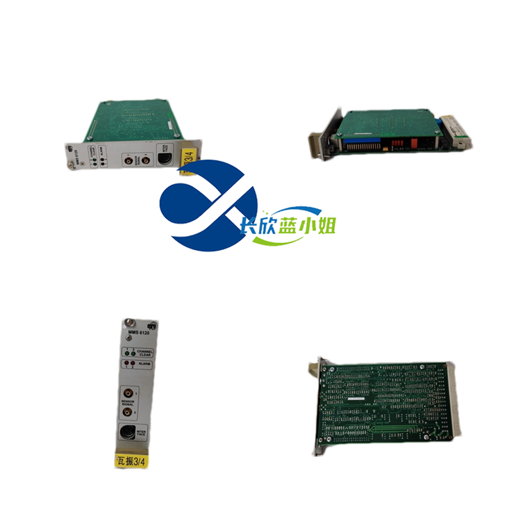 MMS6120 9100-00002-10双通道振动测量模块进口欧美 