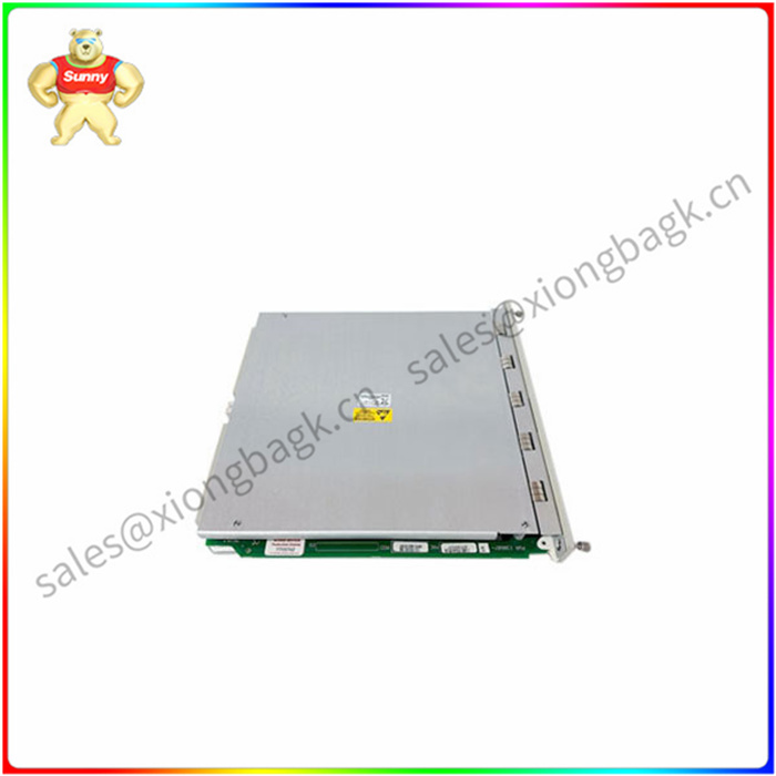 BENTLY 138607-01 标准瞬态数据接口模块 