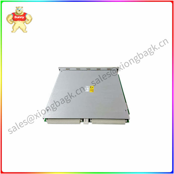 BENTLY 138607-01 标准瞬态数据接口模块 