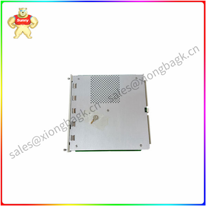 BENTLY 138607-01 标准瞬态数据接口模块 