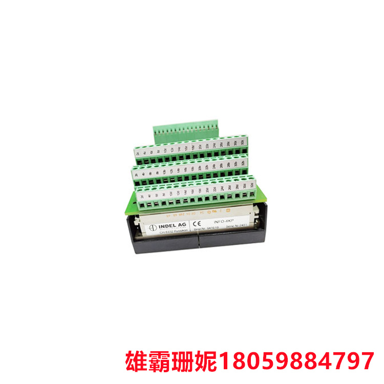 INDEL AG     INFO-4KP-94161   模拟量输入模块        用于将模拟信号转换为数字信号 