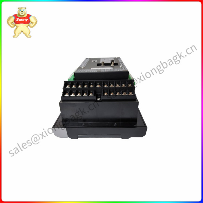 369-H1-R-M-F-E-H-E GE 一个I/O特定的适配器模块 