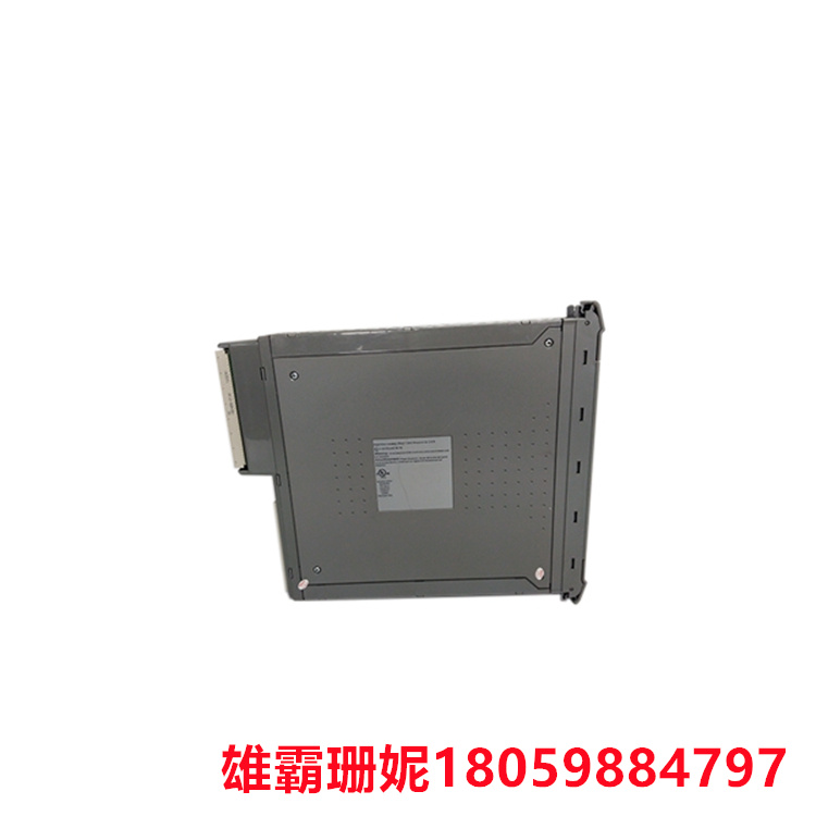 ICS TRIPLEX    T8451    数字输入/输出模块         具有多个数字输入和输出通道 