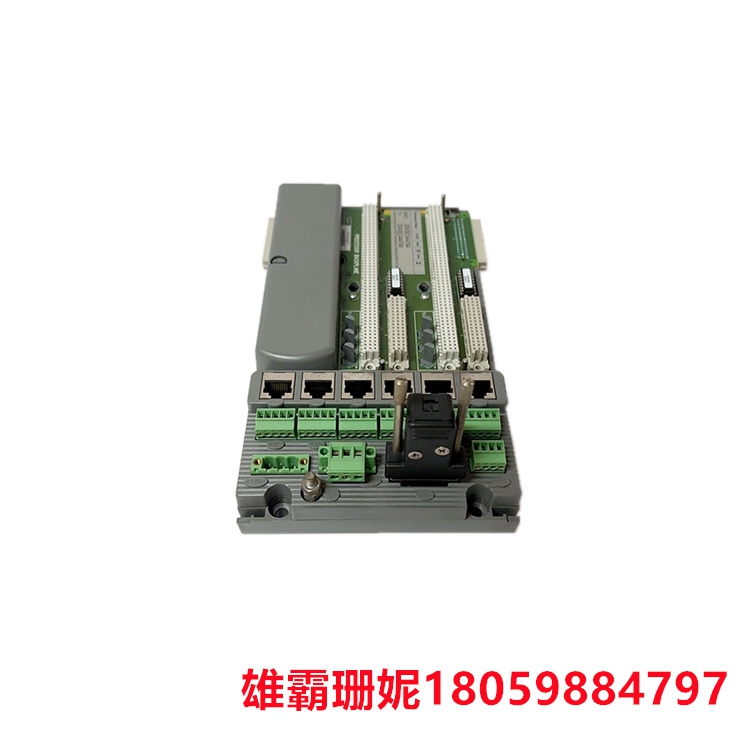 ICS TRIPLEX     T9100@G2     可编程序控制器       用于工业自动化和过程控制应用 