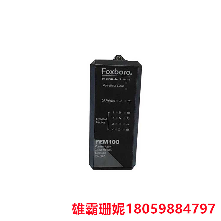 FOXBORO      FEM100      现场总线扩展模块      主要用于扩展现场控制处理器的总线接口 