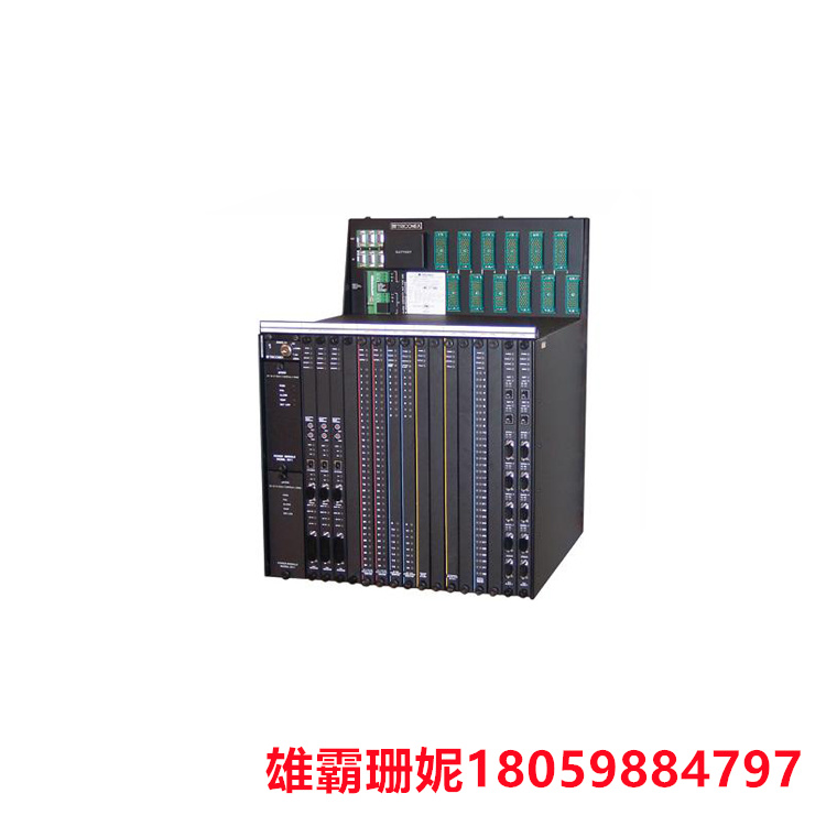 TRICONEX    EPI3382 7400221     控制模块       具有多种功能和特点 