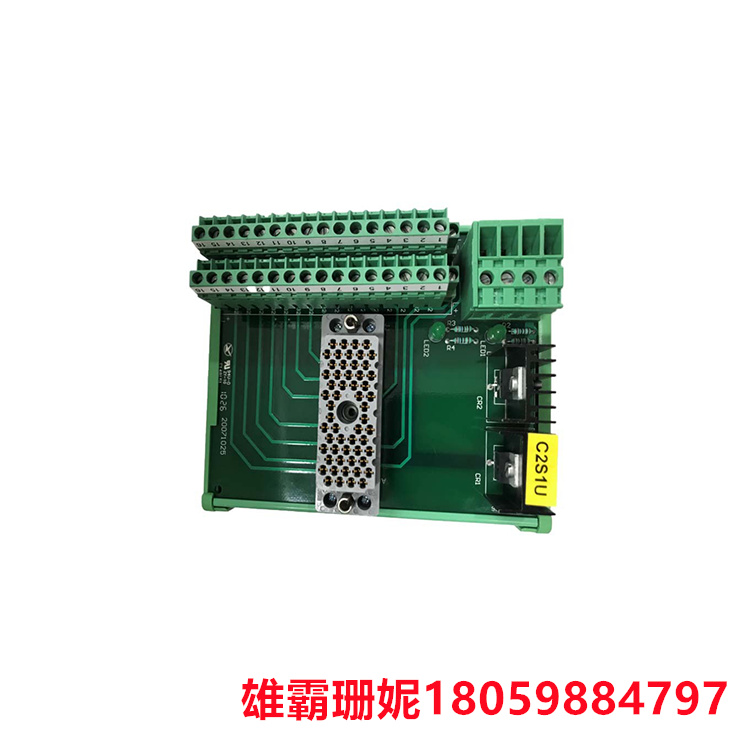 TRICONEX    9662-810   模拟量输入模块    确保用户能够充分利用该产品的性能优势 