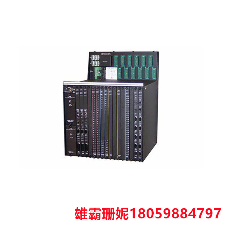 TRICONEX    2291    处理器模块    它采用高性能的处理器和先进的控制算法 