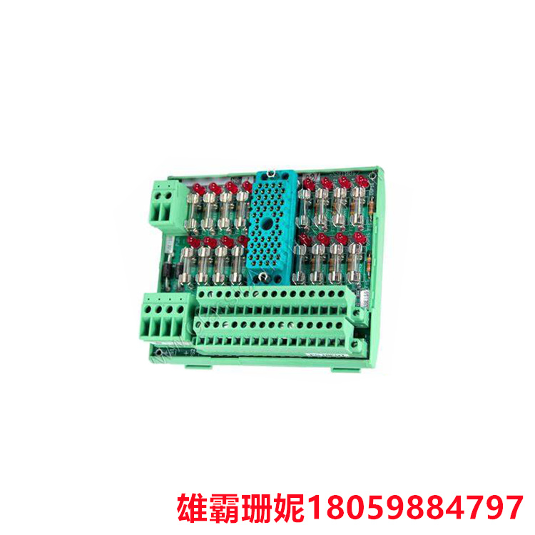 TRICONEX   9561-810    端子底座模块    通常用于连接和固定现场设备的线缆 